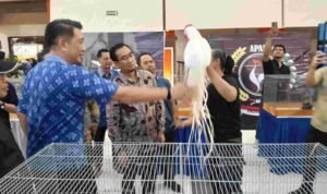 c1_20261024_15482768 Piala Rektor Prana Satwa Brawijaya 2026, Angkat Potensi Satwa Hias dan Peluang Ekonomi