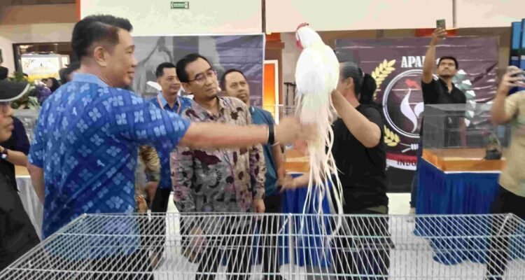 c1_20261024_15482768 Piala Rektor Prana Satwa Brawijaya 2026, Angkat Potensi Satwa Hias dan Peluang Ekonomi