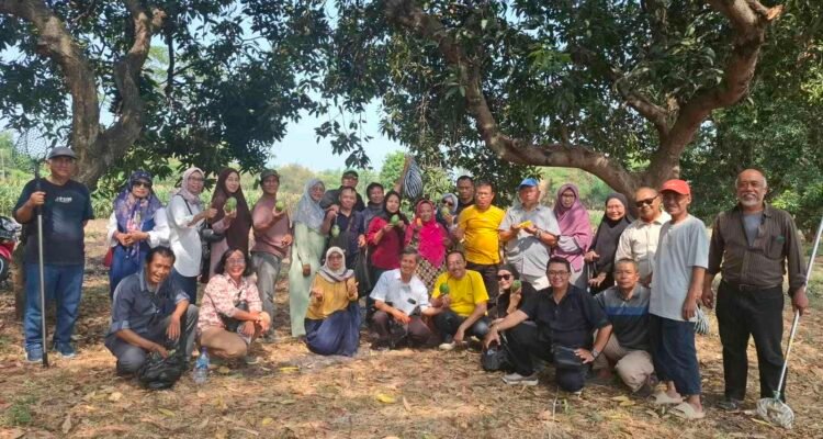 Petik Mangga di Wonorejo, Alumni SMA Islam 87 Malang Pererat Seduluran Sak Lawase