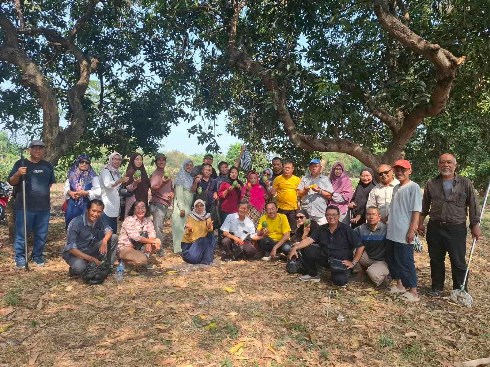Petik Mangga di Wonorejo, Alumni SMA Islam 87 Malang Pererat Seduluran Sak Lawase